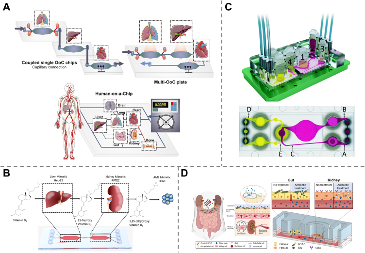 Figure 6