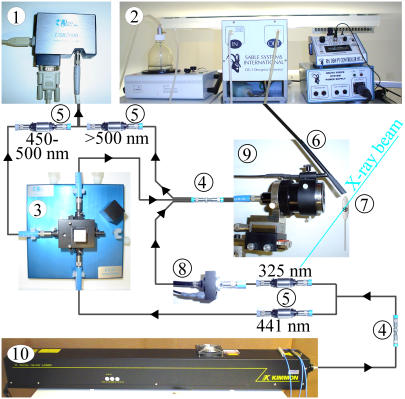 FIGURE 1