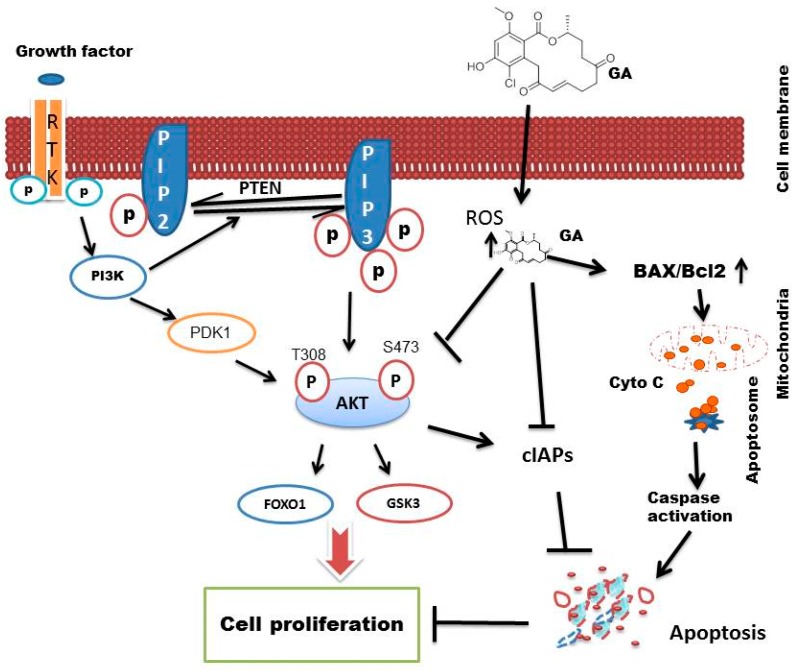 Figure 9