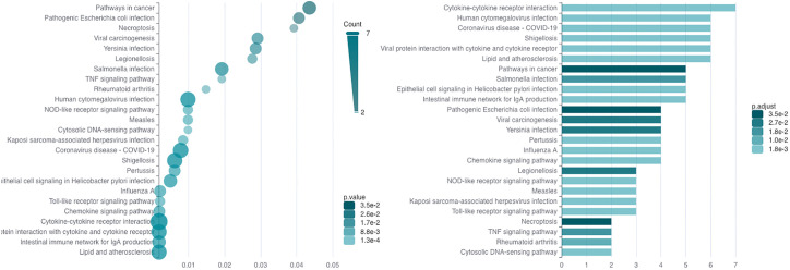 Figure 2