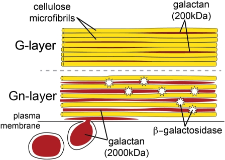 Figure 12.