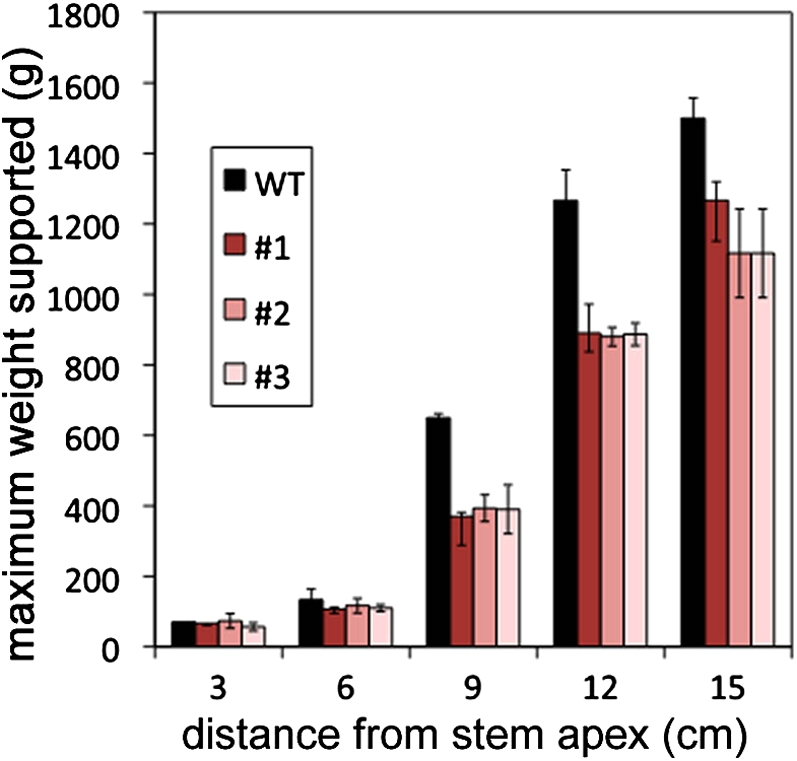 Figure 11.