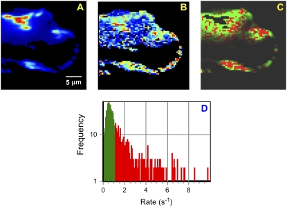 FIGURE 6