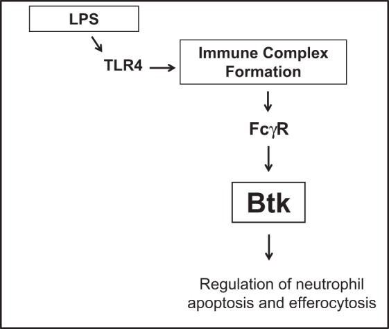 Fig. 9.