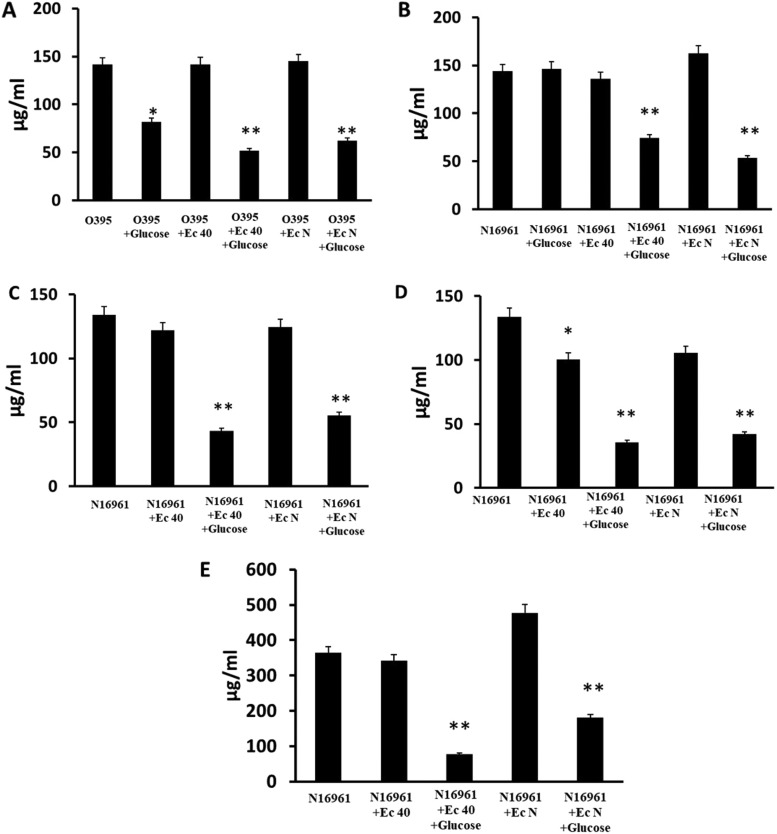 FIG 6