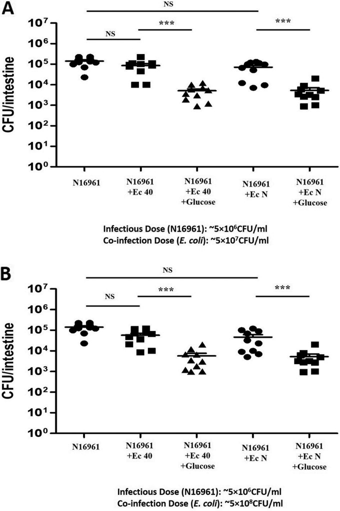 FIG 4