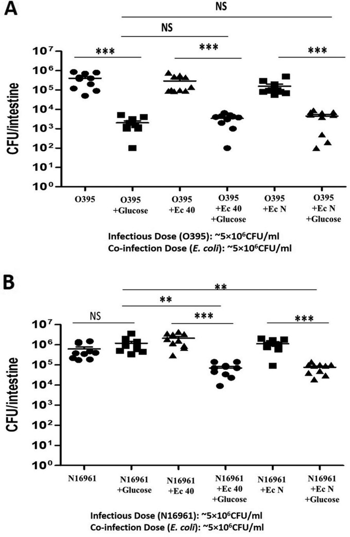 FIG 3