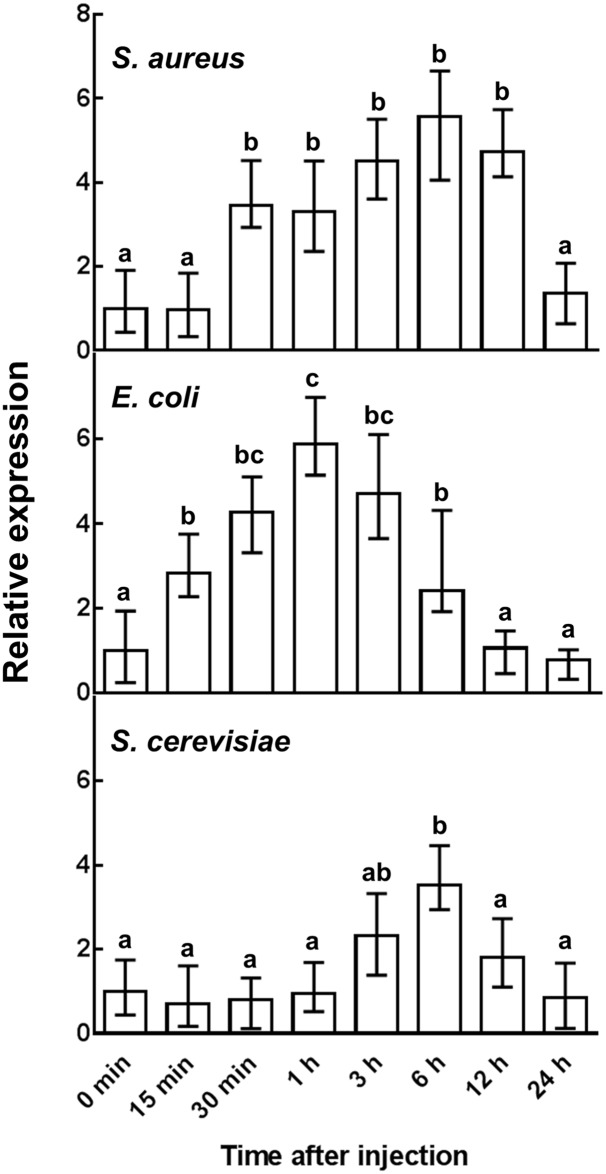 Fig 4