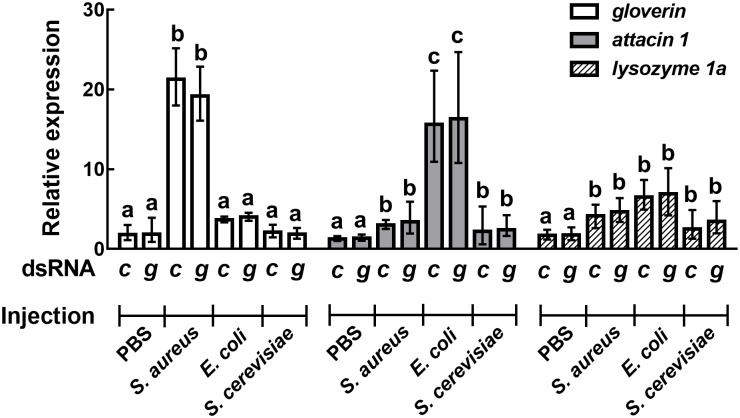 Fig 9