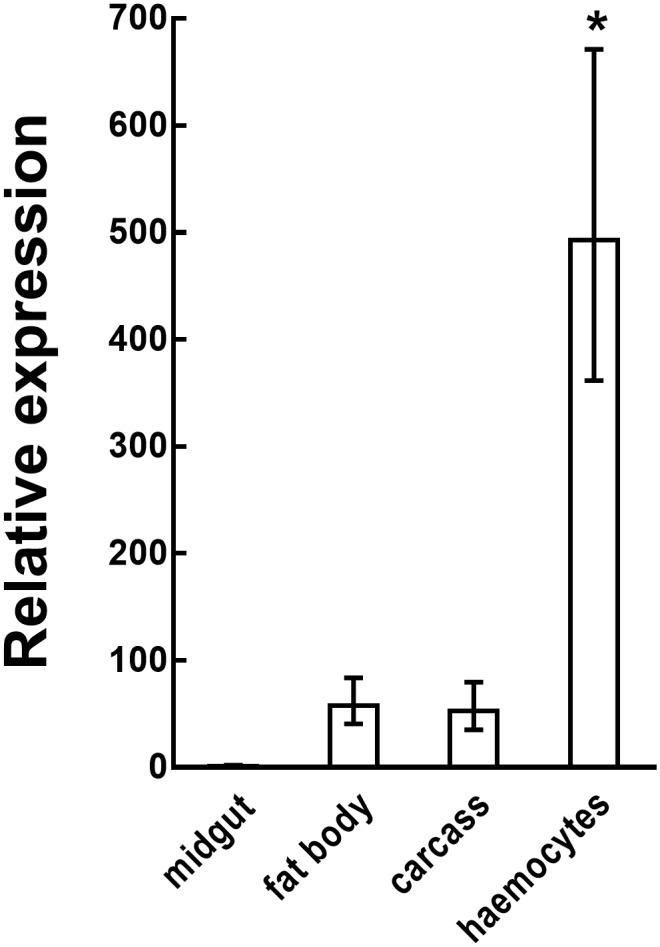 Fig 3