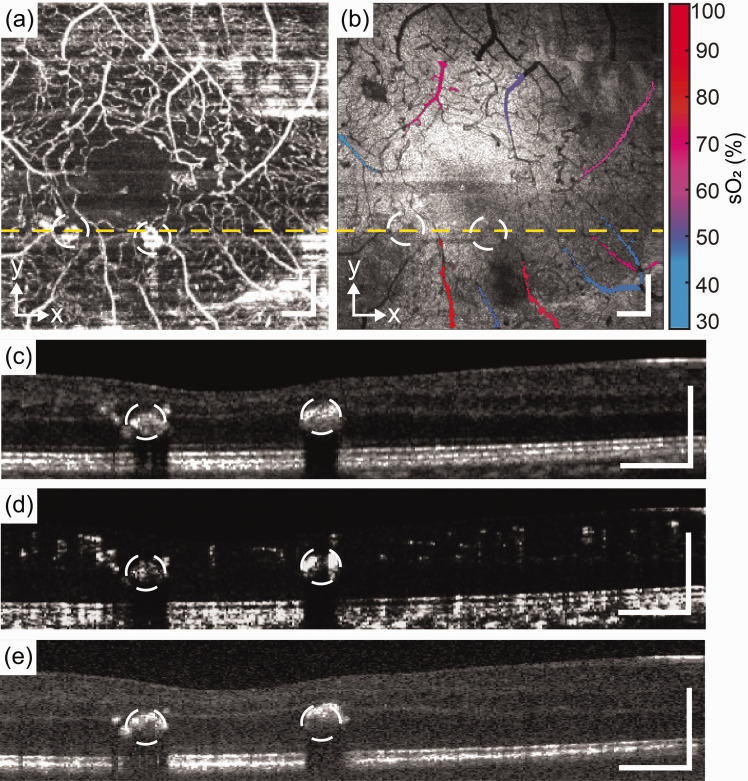 Figure 3.