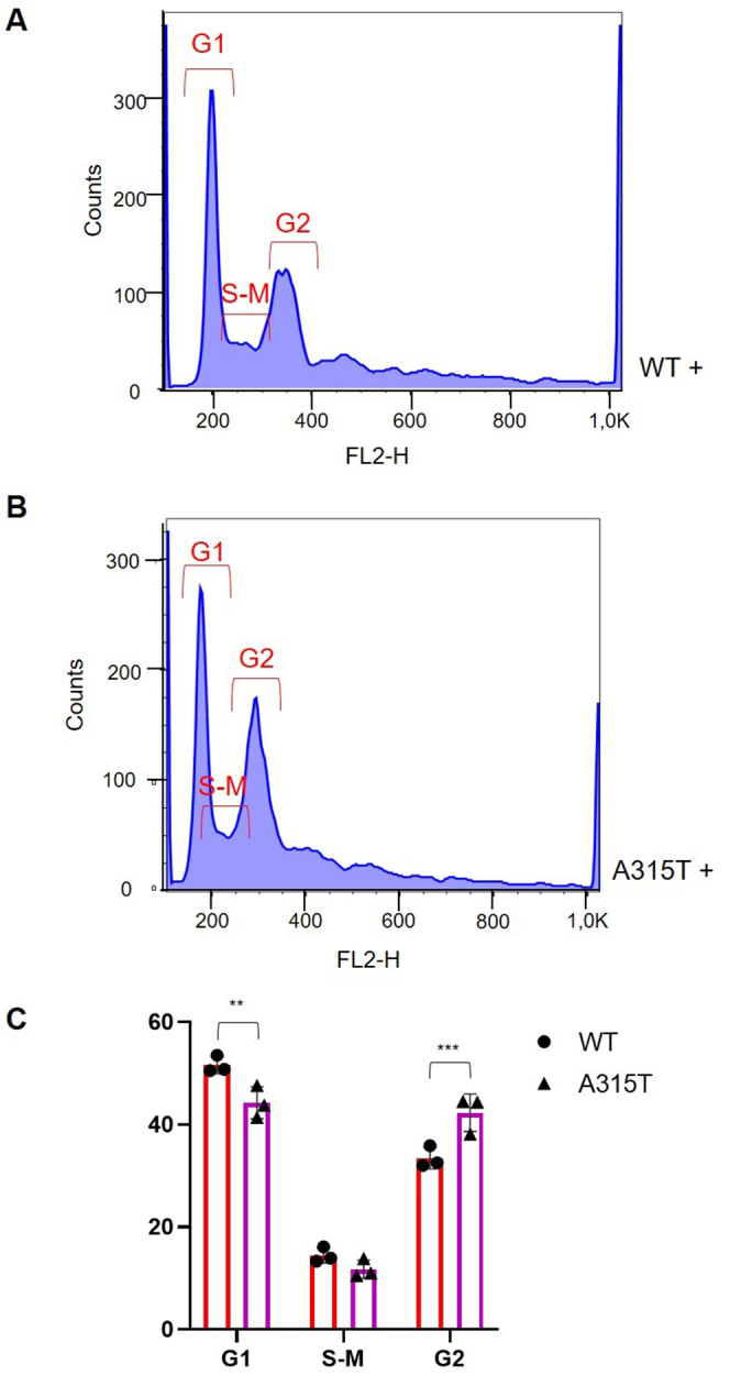 Supplementary Figure 4