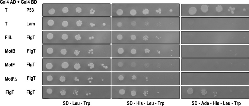 Fig 4