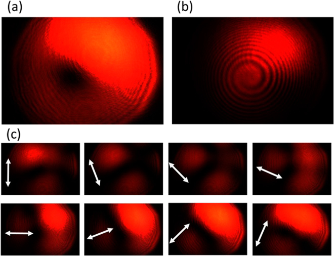 Figure 11