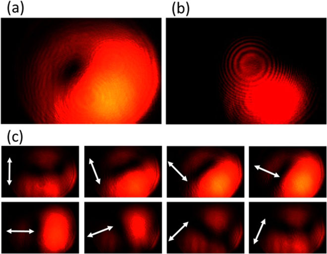 Figure 10