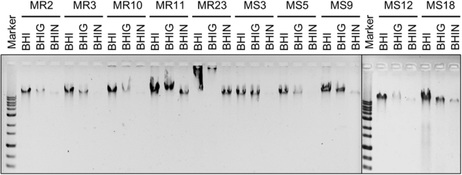 Figure 7