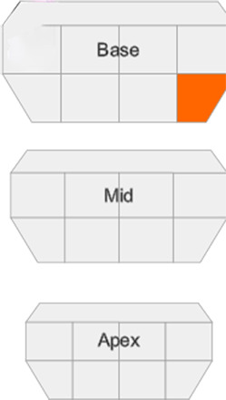 Figure 7g: