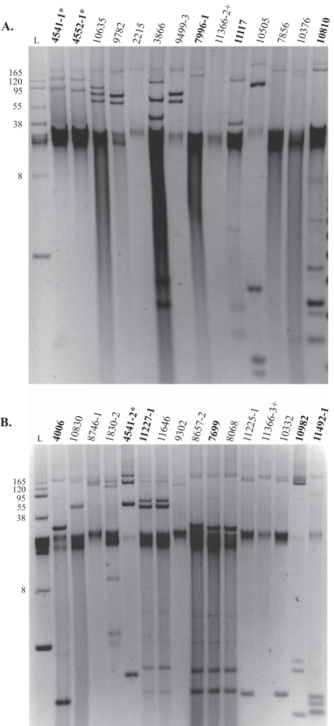 FIG 1