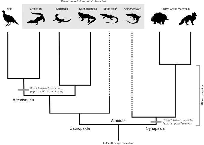 FIGURE 1