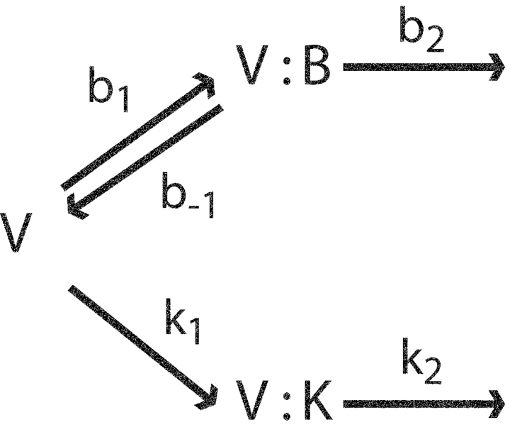 SCHEME I