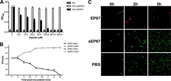 Fig 4