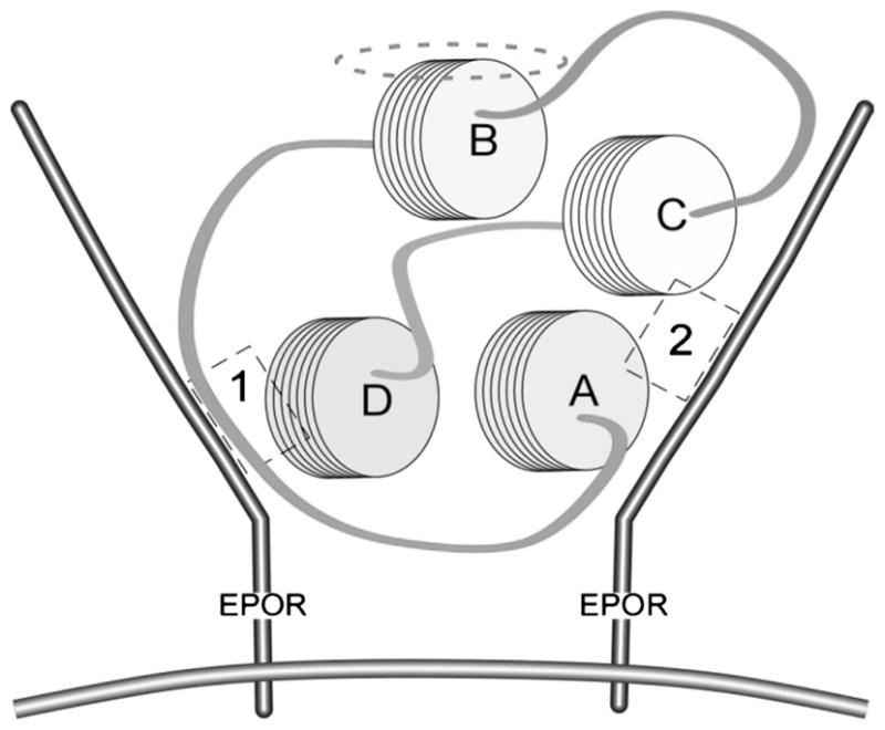 FIGURE 2