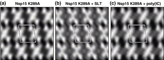 Supplementary Figure S3