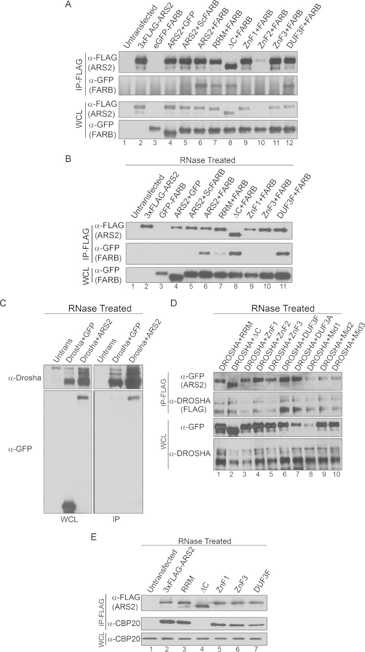 FIG 5