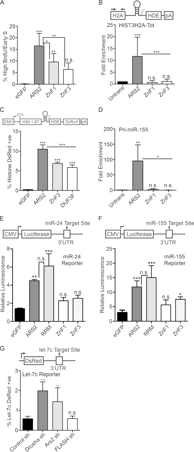 FIG 6