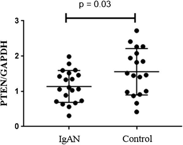 Fig. 7