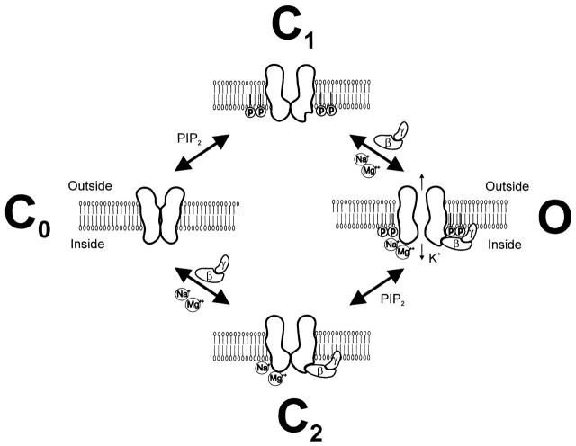 Figure 8