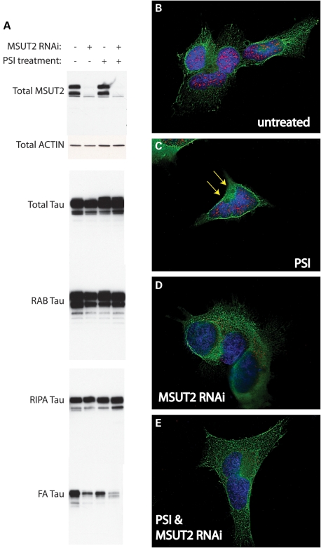 Figure 6.