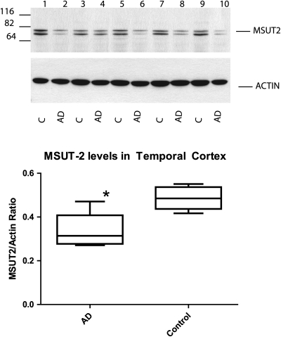 Figure 4.