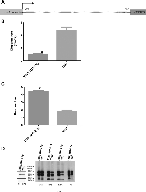 Figure 1.