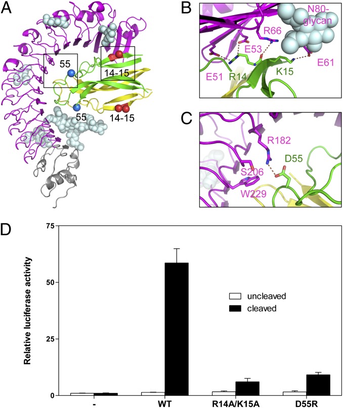 Fig. 3.