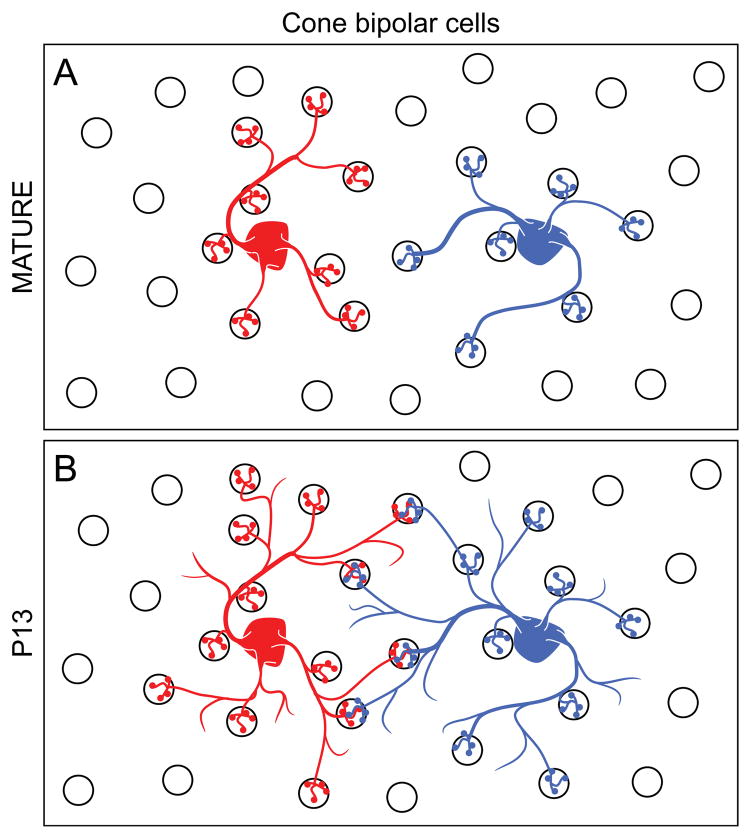 Fig. 10