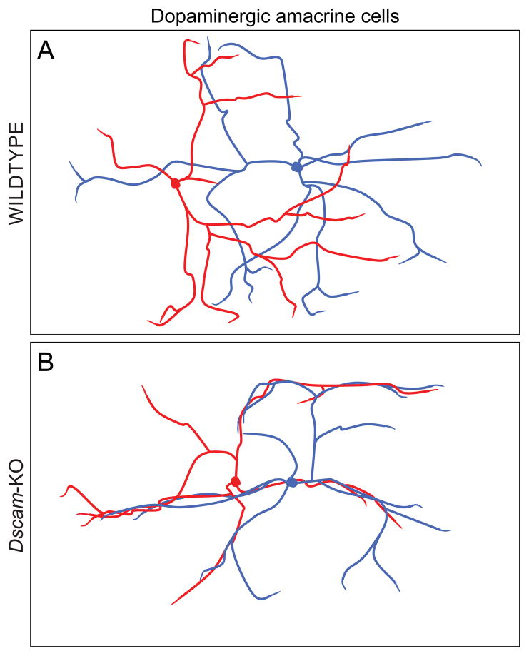 Fig. 12