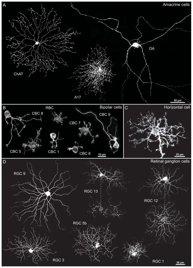 Fig. 9