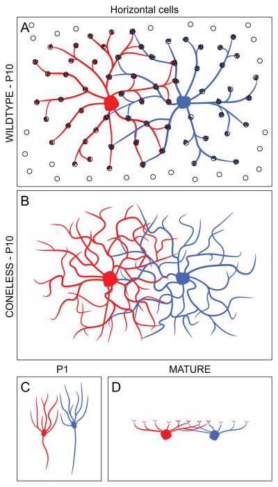 Fig. 11