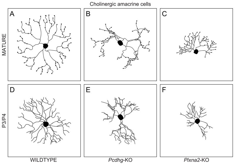 Fig. 13