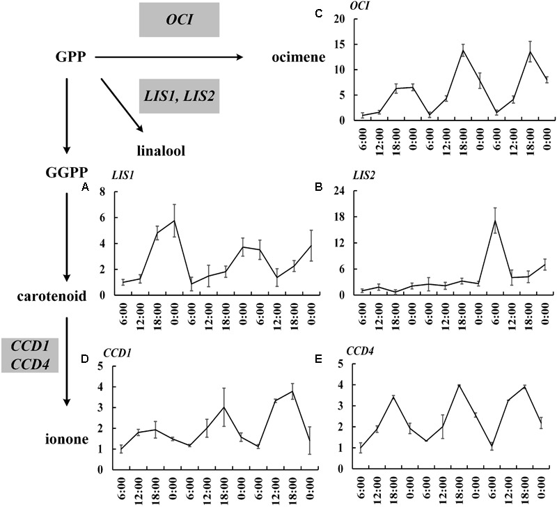 FIGURE 3