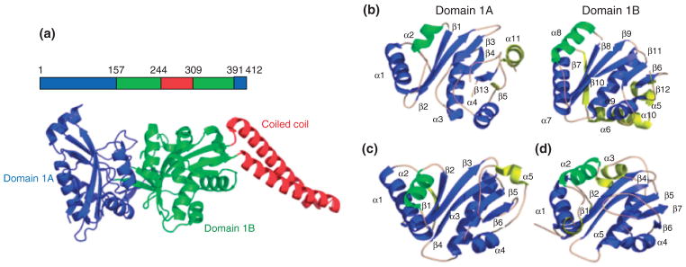 FIGURE 3