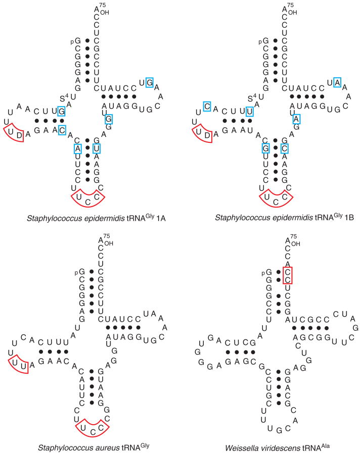 FIGURE 4