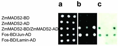 Figure 5.