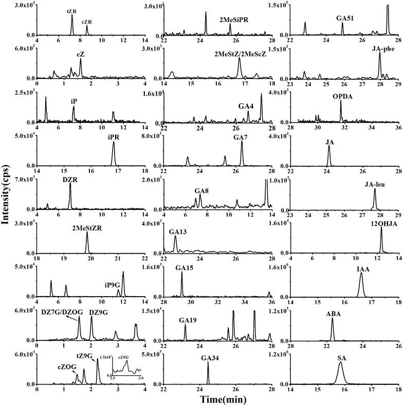 Fig. 3