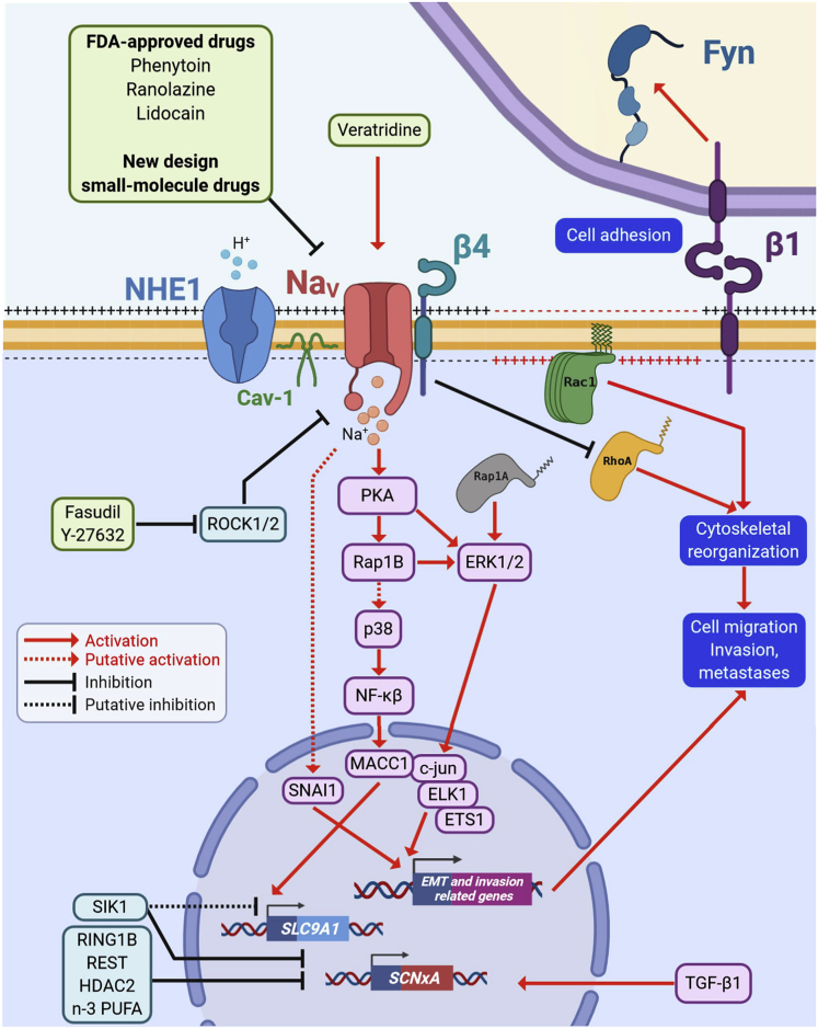 Figure 2