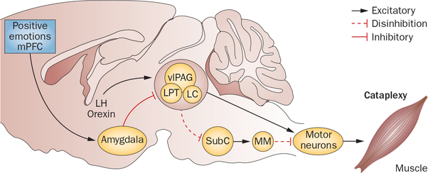 Figure 2 |