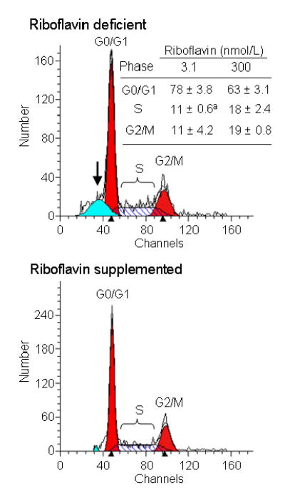 Fig. 3