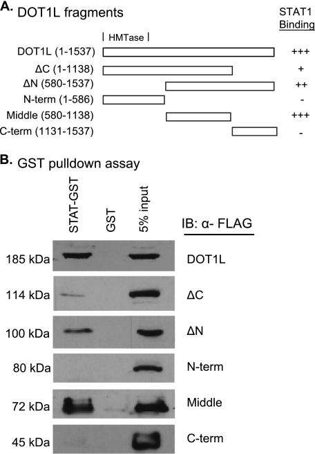 FIGURE 5.