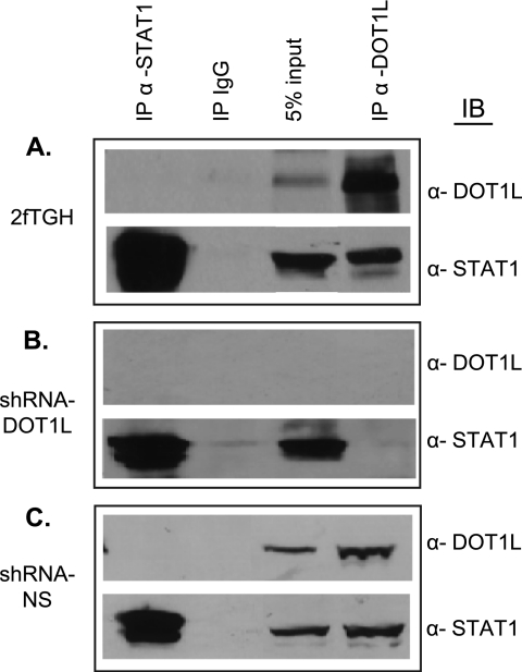 FIGURE 4.